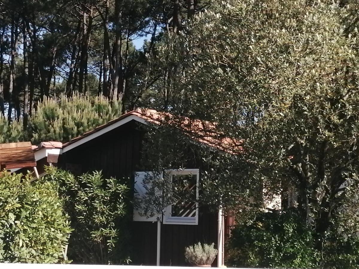 Maison Familiale En Bois Avec Piscine, Proche Du Bassin غوجان-ميستراس المظهر الخارجي الصورة