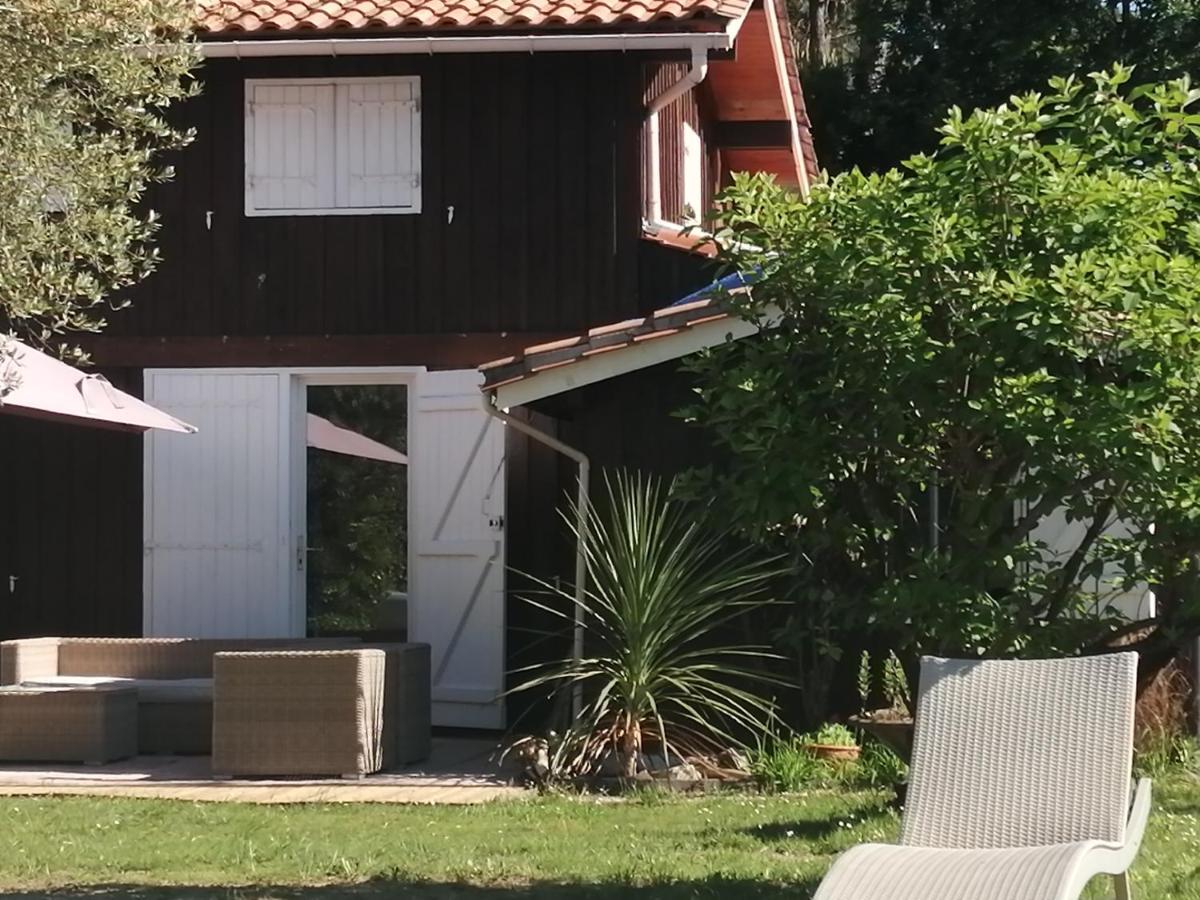 Maison Familiale En Bois Avec Piscine, Proche Du Bassin غوجان-ميستراس المظهر الخارجي الصورة
