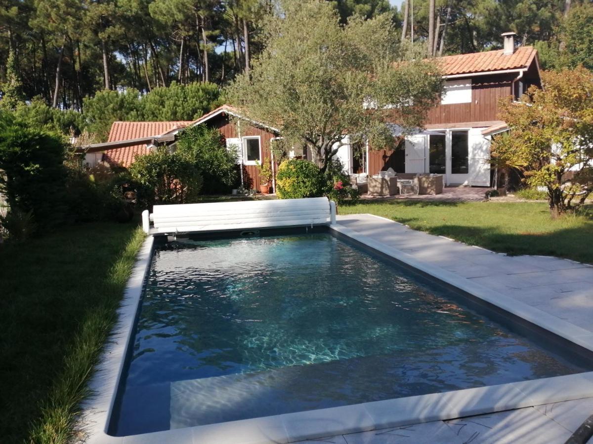 Maison Familiale En Bois Avec Piscine, Proche Du Bassin غوجان-ميستراس المظهر الخارجي الصورة